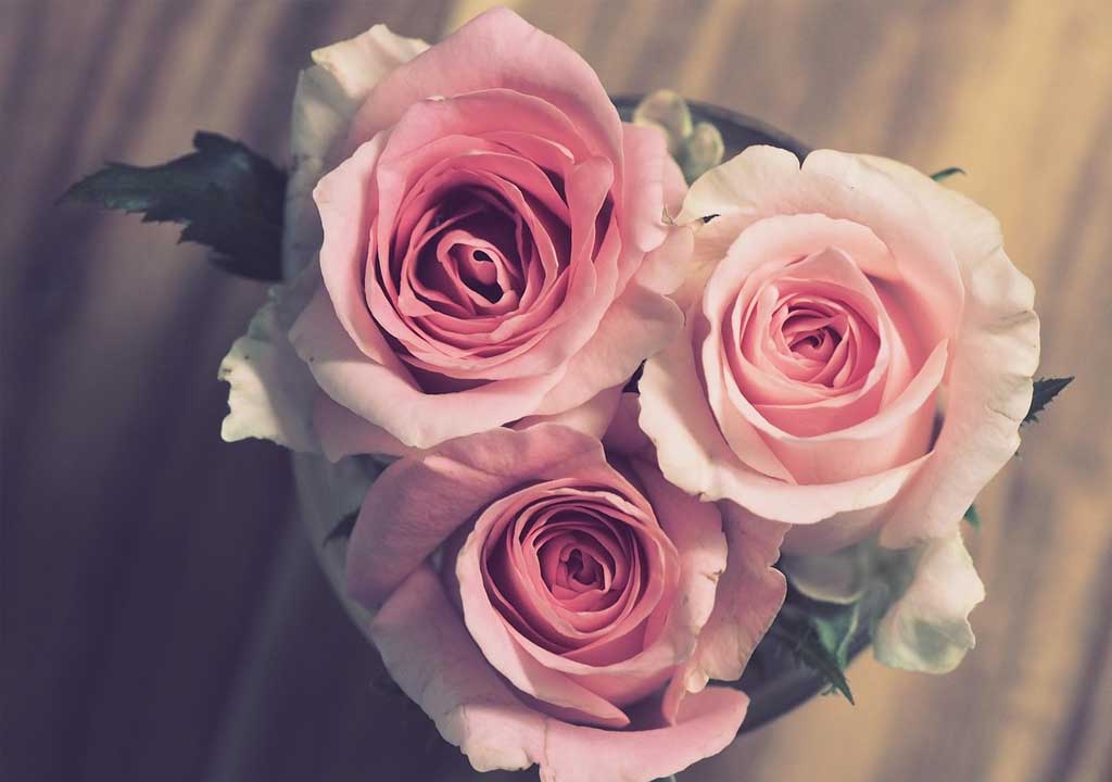 Creative Milestone Anniversary Gift Ideas for Him and Her
